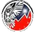 Community partner